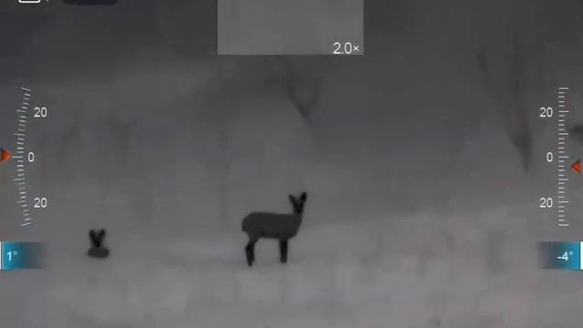 Infiray hőkamera próba. смотреть онлайн