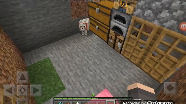 1 факт про собак в майнкрафте смотреть онлайн