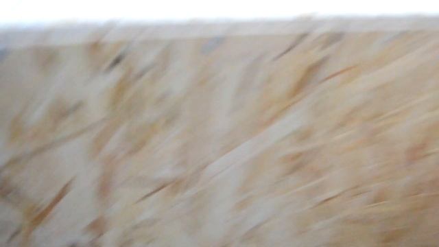 Овощной ящик для балкона смотреть онлайн