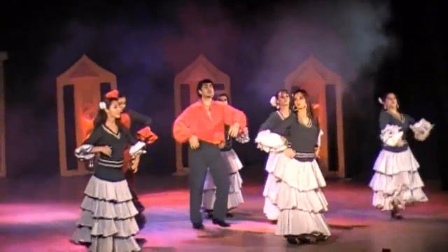 Flamenco 2010