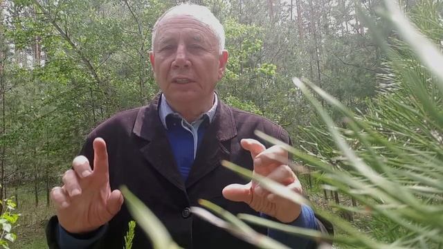 Техника оздоровления. Дыхание жизни для детей Станислав Лосев смотреть онлайн