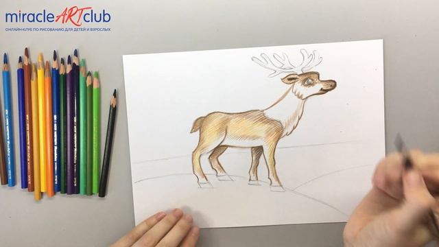 Северный олень смотреть онлайн