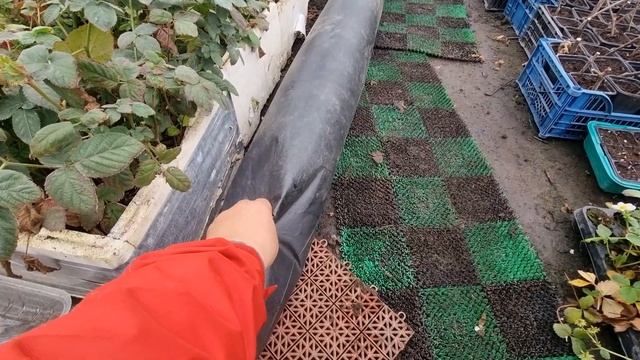 Зимнее отопление теплицы 42×10м. Печь на пеллетах. Теплица в теплице. смотреть онлайн