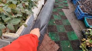 Зимнее отопление теплицы 42×10м. Печь на пеллетах. Теплица в теплице.