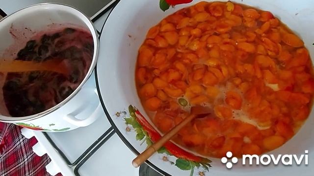 Варенье из сливы! Варенье из абрикоса! смотреть онлайн