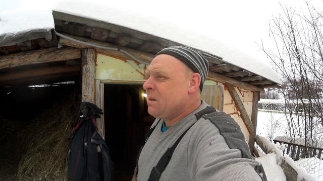 ЗАЧЕМ СОБАКУ НА ЦЕПЬ ПОСАДИЛ?? ЖАЛКО / ОПЯТЬ СНЕГ КИДАЕШЬ?? смотреть онлайн