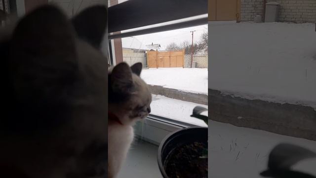 Подготовка к рибалке#до#весни#1месяц#подготовка#снасти#кормушка#спининг#ждем#видео#про#рибалку# смотреть онлайн