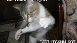 Гражданская Оборона -- Я выдуман напрочь