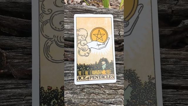 Angel ? Message June16-23#fullmoon#Starwberrymoon смотреть онлайн