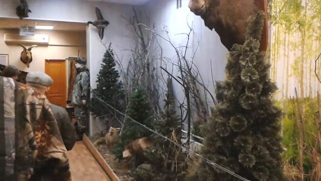 Магазин перспектива фирма """зонт""" смотреть онлайн