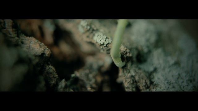 Microlife смотреть онлайн