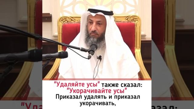 Усы сбривать или стричь в исламе? #islam #sheih #gladiy #usman смотреть онлайн