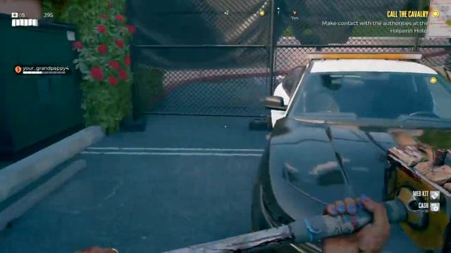 Dead Island 2 Gold Edition Early Release