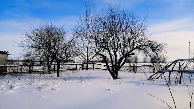 #Скоро ли отел у коровы? /Что делать с гусями/ Будни #деревенщины смотреть онлайн