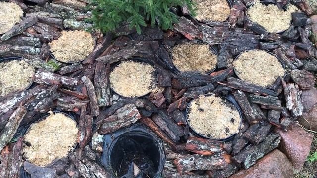 Выращивание цветов Pot-in-pot (горшок в горшке)