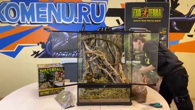 Онлайн мастер класс с EXO TERRA! Оформляем террариум для геккона бананоеда. (запись) смотреть онлайн