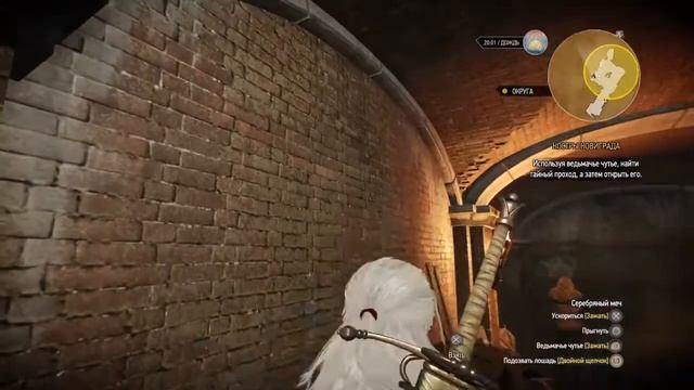 костры новиграда ТРИС чародейка и квест сон в большом городе  Сара домовой