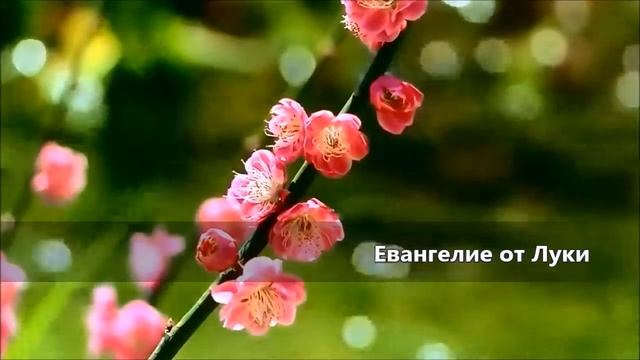 Евангелие от Луки Глава 15 смотреть онлайн