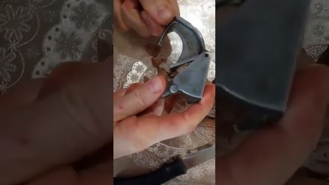 Как быстро почистить грецкий орех смотреть онлайн