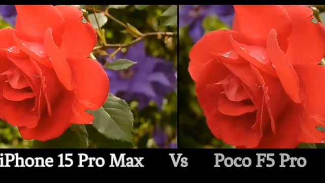 Poco F5 Pro 5G Vs Apple IPhone 15 Pro Max Camera Test Comparison In Detail |camera Review Iphone 15