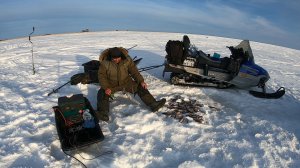 Леска Звенела Удочка Трещала от Такой Рыбалки. Рыбалка на Сибирского Чебака