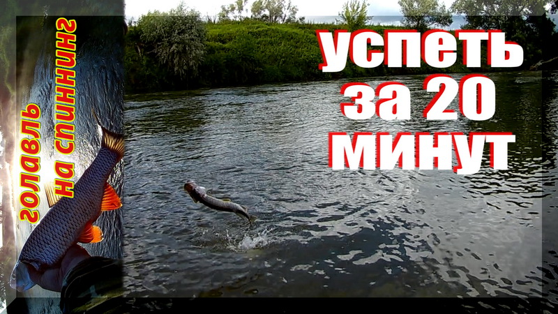 Щука-акробат, ГОЛАВЛЬ из под берега. Успел поймать голавля, щуку, окуня, до начала дождя. Рыбалка . смотреть онлайн