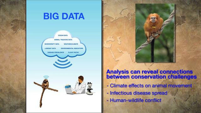 Partners in the Sky Initiative: Smithsonian's National Zoo and Conservation Biology Institute смотреть онлайн