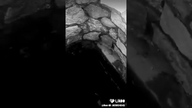 Caro pro смотреть онлайн