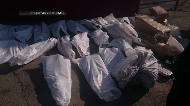 Полицейские выявили факт незаконной перевозки особоценных видов рыб занесенных в Красную книгу РФ смотреть онлайн