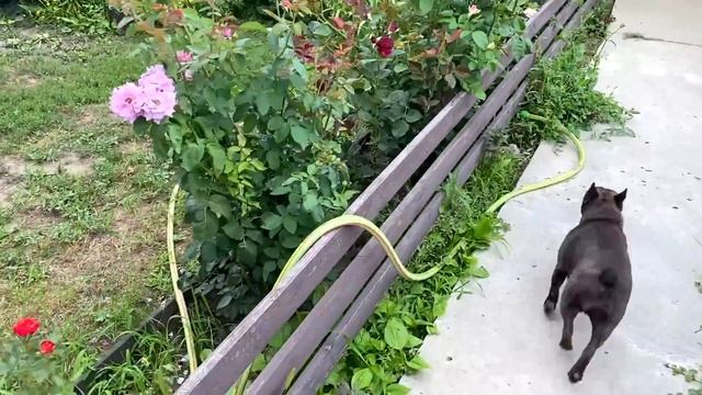 МАСЯ ждала и что с её ШИШКОЙ если постоянно боитесь что вас обманут то в конечном итоге вас ОБМАНУТ смотреть онлайн