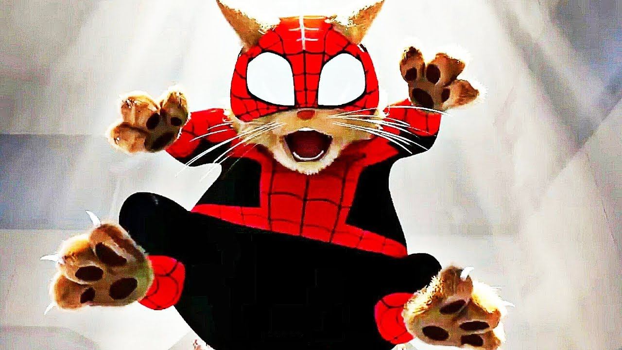 Человек-Паук: Паутина Вселенных Кот-Паук (ТВ-спот) 2023 смотреть онлайн