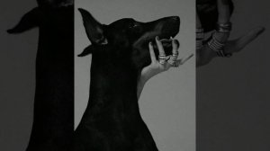 Песня Эй девчонка,в 16 м ряду