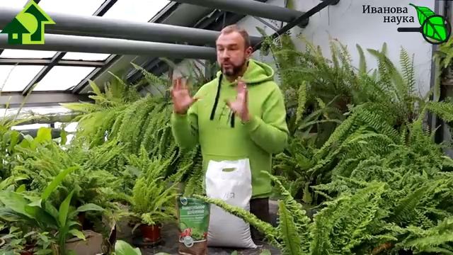 ЛУЧШЕ, ЧЕМ ОРГАНИК МИКС, и В 15 РАЗ ДЕШЕВЛЕ! Не кидайтесь на рекламу, сперва ПОСМОТРИТЕ ЭТО ВИДЕО! смотреть онлайн