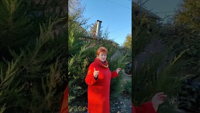 МОЕ ОКРУЖЕНИЕ! смотреть онлайн