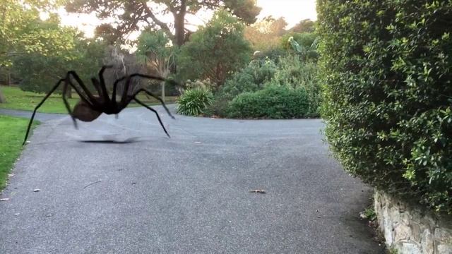 Spider Attack (Action Movie FX) смотреть онлайн