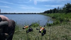 Рыбалка на карпа рыбхоз Бисерово