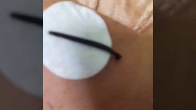 доктор пиявка.mp4