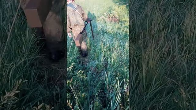 Глубинник - Магнитометр Vallon EL - 1301 тест!