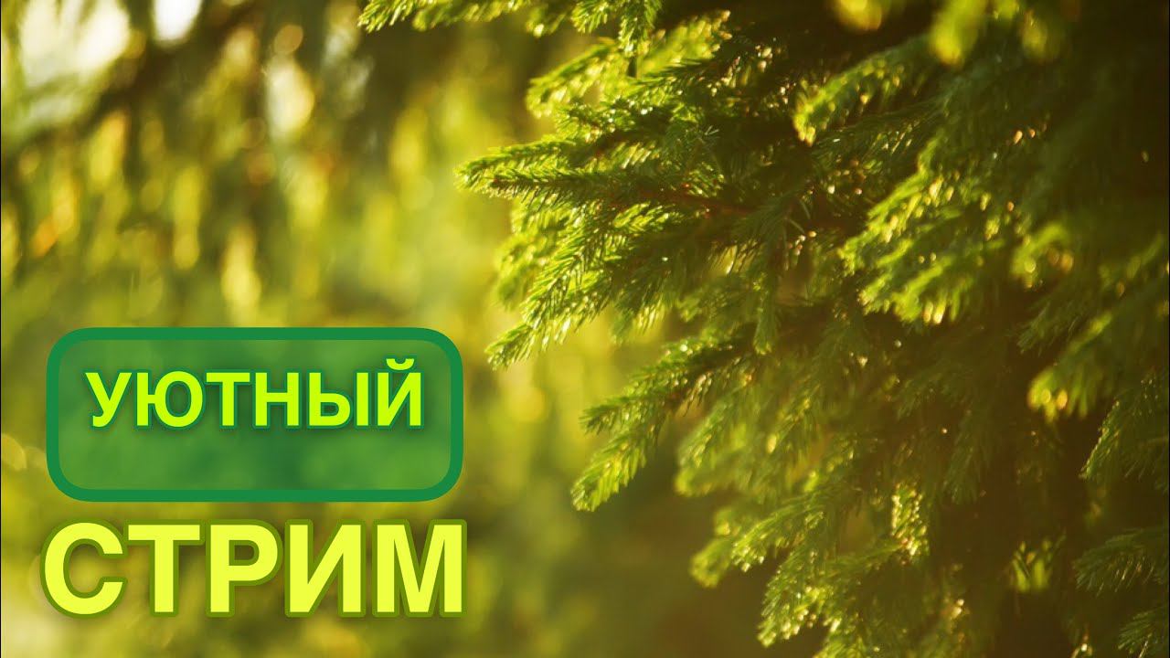 УЮТНЫЙ СТРИМ ИГРАЕМ В МАЙНКРАФТ смотреть онлайн