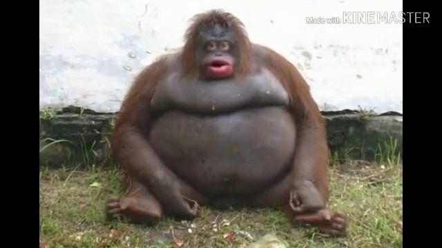 Unnerving Images And Cursed Images With minecraft cave sounds funny voice edition (Reupload) смотреть онлайн