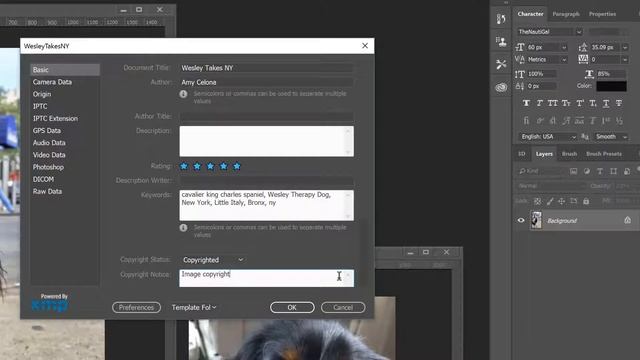 Resize, Watermark & Copyright Your Photos In Photoshop CC