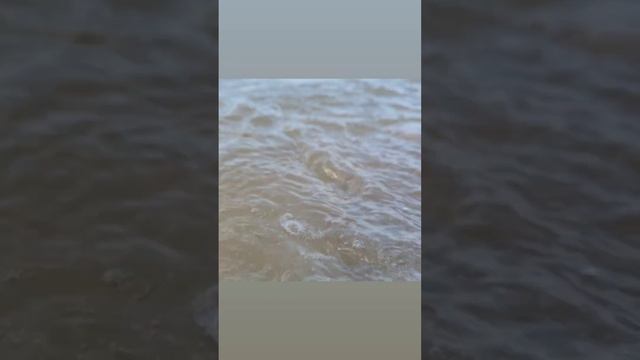 Каспийское море отдых без приключений смотреть онлайн
