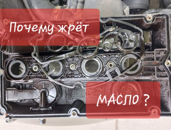 Дикий масложор из-за клапанной крышки. A16XER/F18D4.