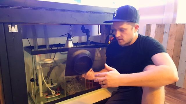 Salt Creep TV - QUICK TIP - Cheap Protein Skimmer Stand Idea смотреть онлайн