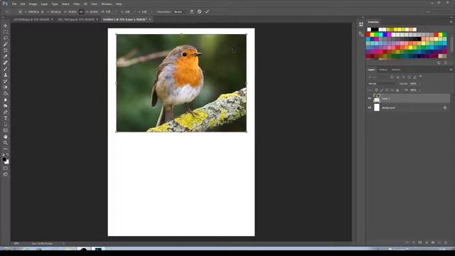 Photoshop Free Transform Tool смотреть онлайн