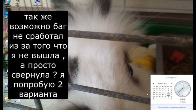  IT Школа Навыков