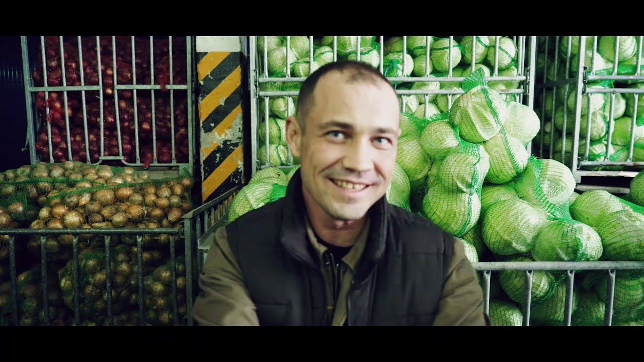 Skibidi-челлендж "заразил" и сотрудников "Тепличного" смотреть онлайн