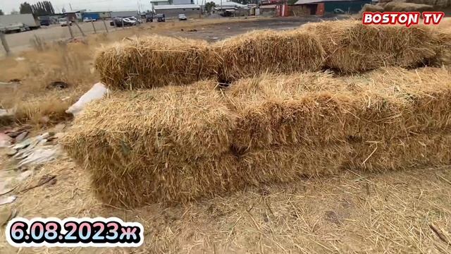 Озгон чоп базар/ Озгондо чоп арзанбы???#bostontv #чопбазар смотреть онлайн