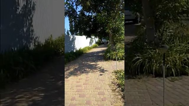 Черноморка, Очаков, гостинный дом "Камея" 2019 смотреть онлайн