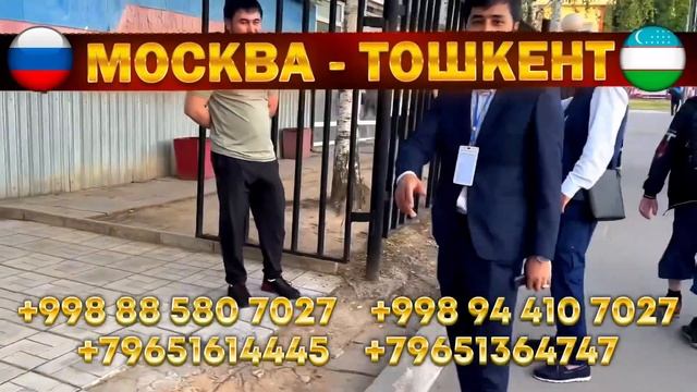 Краснодар Ташкент автобус Мариупол Ташкент автобус #краснодар #ташкент #краснодарташкентавтобус смотреть онлайн